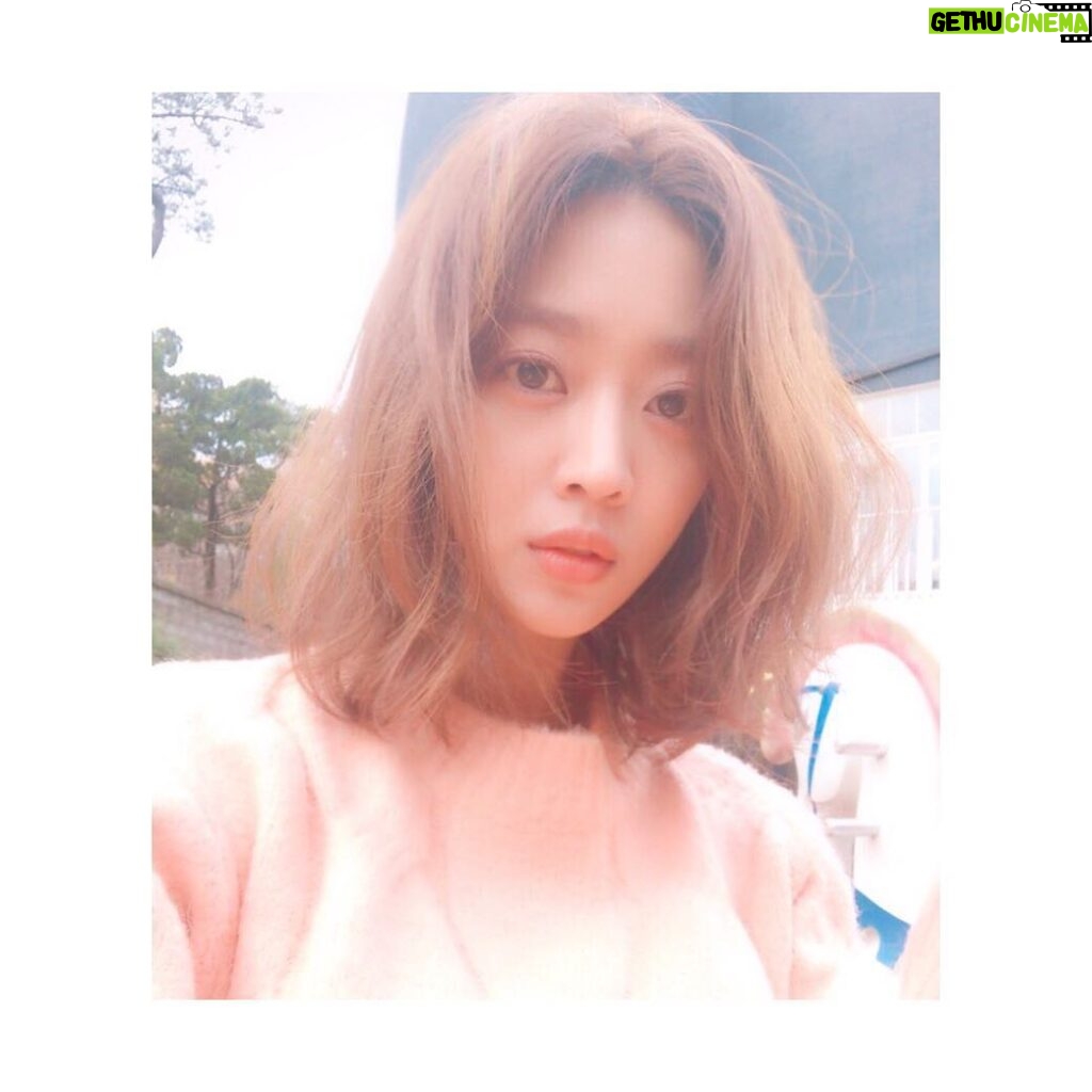 Jo Bo-ah Instagram - 🌸