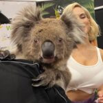 JoJo Instagram - 🐨 🥹✨ 19 years in and sometimes I still can’t believe this is my life. BLESSED to get to perform in countries as far away from home as i could have ever imagined and hang out with the most wonderful animals (and people too)