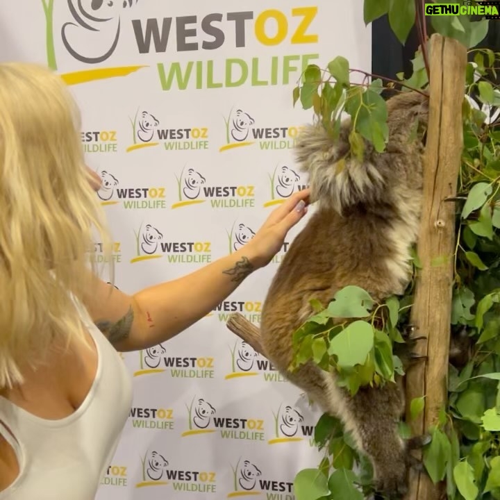 JoJo Instagram - 🐨 🥹✨ 19 years in and sometimes I still can’t believe this is my life. BLESSED to get to perform in countries as far away from home as i could have ever imagined and hang out with the most wonderful animals (and people too)