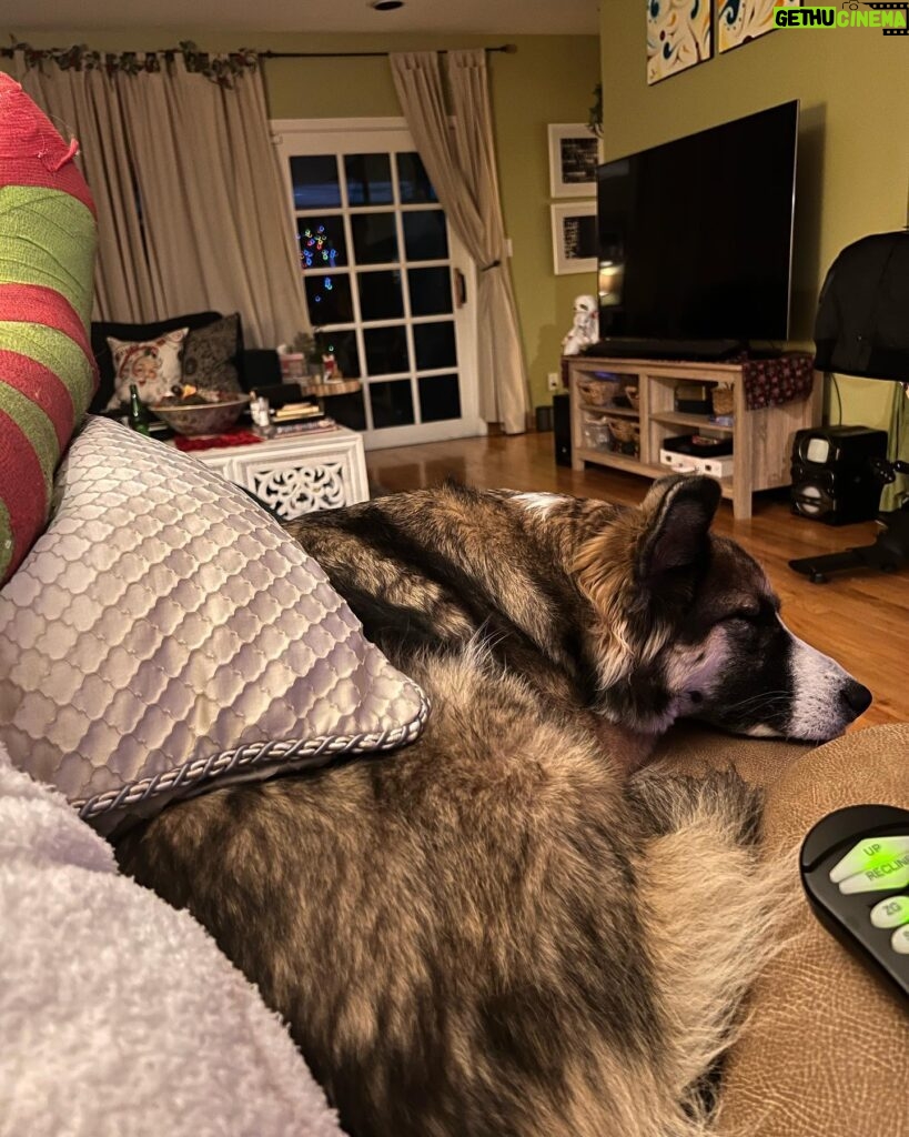 Jodie Sweetin Instagram - The dog has figured out she can “fit” on the leg rest of this chair and it’s become her new favorite spot while I’m laid up. And by “fit”, I mean, if I take up as little space as possible. But it’s the best medicine.
