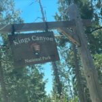 Jodie Sweetin Instagram - Have been enjoying some end of summer travel and unplugging with the family the last couple weeks. First up was a trip to Sequoia and Kings Canyon National Park to celebrate our 1st Anniversary on July 30! The pictures can’t POSSIBLY show how massive these forests are! Standing and looking up makes you feel very small (which is a good perspective sometimes!) The little Boho Glamping Cabin we booked on airbnb even had an outdoor shower/sink… made brushing my teeth WAY prettier. If you haven’t been there, it’s def a bucket list item! ❤️🌲🏕️