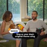 John Legend Instagram - Do all of us have custom songs for our pets? We sat down with @johnlegend and @chrissyteigen for a game of #TruthorDodo, our new series where The Dodo invites celebrities to an old-fashioned game of truth or dare... but with their dogs! Head to the link in our bio for the full episode.