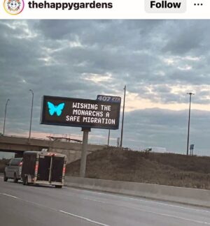 John Leguizamo Instagram - Safe travels our monarchs!  They represent our immigrants because they follow a similar path.  From Mexico to all of North America.  Beloved symbol.  For thousands of years they have done this!