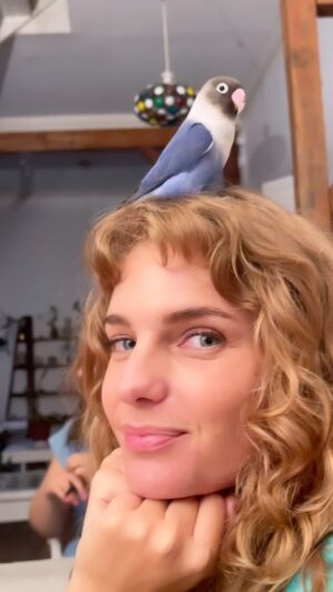 Josefina Montané Instagram - 💙👒🐦 @benitoelpajarito