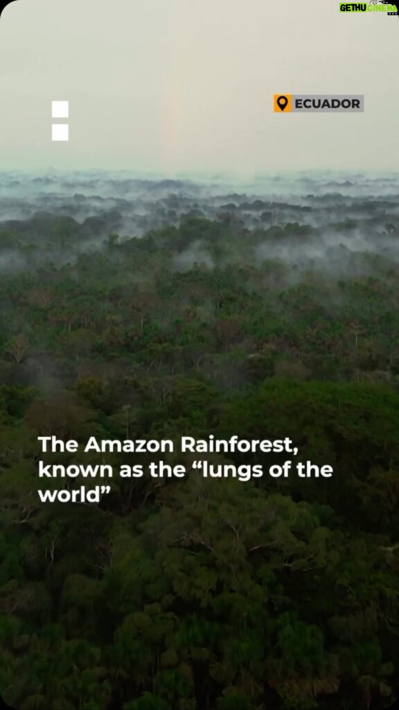 Joy Reid Instagram - Repost from @aljazeeraenglish • The Amazon rainforest, known as the “lungs of the world”, is being devastated by an insatiable oil industry. . Its Indigenous communities are on the front line to protect this environmentally essential region as well as their way of life. . 🎥 Watch the film Dying Earth: The Final Breath to learn more: https://aje.me/DE5 . Filmmaker: @fatimalianes . #documentary #DyingEarth #amazon #waorani