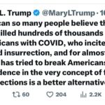 Joy Reid Instagram – @mary.l.trump on the mass trauma her uncle Donald, through his incompetent handling of the #covid pandemic and the cynicism of his #maga movement have exploited and weaponized in pursuit of permanent power.