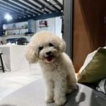 Joyce Ching Instagram - October dump because why not 🤣
