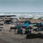Juana Viale Instagram - Esta es la situación de nuestras costas en la provincia de chubut. Donde muchas de ellas pertenecen a AREAS PROTEGIDAS y otras son PATRIMONIO NATIRAL DE LA HUMANIDAD. UNESCO. @unesco @chubutpatagonia @chubutgobierno @secpescacht Foto 1. Octubre 2022 Foto 2. Abril 2023 La flora y la fauna estan completamente afectados por esto. ¿Que son estos cajones y otros desechos? Son cajas de la pesca, y otros desechos. ¿Cómo llegaron ahí? Los que estan en los "escritorios" diran que se caen de los barcos. Los que estan en los barcos dicen que es por un descarte que se hace. Y las redes? Ahora, ¿el problema cual es? Hay varios. Los politicos estan para discutir estos temas? La pesca de arrastre, la cual destruye nuestro suelo marino, (algunos estan preocupados por los barcos chinos en la milla 201) pero ni siquiera podemos cuidar y respetar las millas que nos pertenecen. Saben lo que sucede cuando se pesca con estas redes, no solo destruye el suelo, sino que no "selecciona", lo cual mas del 30% se descarta al mar, cuando se hace estan muertos. Delfines. Tortugas. Pulpos y cientos de otras especies. ¿Hasta cuando van a seguir defendiendo lo que destruye de forna masiva? Ph: @markomagister
