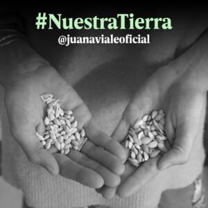 Juana Viale Instagram - Hoy quiero hablarle al millón de personas que conforman esta hermosa comunidad. Me gustaría pedirles que cada uno se convierta en un multiplicador de una situación que tanto me preocupa, les estoy hablando sobre lo que pasa en nuestros bosques nativos. 

¿Sabían que el 1,4 % de los bosques nativos del mundo están en la Argentina?. Esto significa que tenemos en nuestro territorio alrededor de 50 millones de hectáreas de bosque nativo. Es el 20% de la superficie total del país.

Pero ya perdimos el 70% de nuestros bosques nativos a causa de la deforestación. En la actualidad se deforesta aproximadamente 1 hectárea de bosque cada 2 minutos, esto equivale a 30 canchas de fútbol por hora. 

SI. Se deforesta 1 hectárea de bosque cada 2 minutos. Esta situación debe terminar.

Lamentablemente la mitad de los desmontes se realizan en lugares donde está prohibido desmontar, según la Ley de Bosque Nativo.

El 25% de las especies presentes en la Argentina se encuentra en peligro de extinción, según un estudio reciente de la UICN (Unión Internacional para la Conservación de la Naturaleza). 

Las principales razones de pérdida de biodiversidad son la destrucción y fragmentación del hábitat por el avance de la frontera agropecuaria, la caza furtiva, la introducción de especies exóticas invasoras, el cambio climático y la contaminación.

En todo el mundo aproximadamente 1.000.000 de especies son las que están en riesgo de desaparecer. 

Hagamos de las redes sociales un lugar para defender nuestra tierra. Alcemos la voz por nuestros bosques nativos.