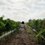 Juddy da Conceição Instagram - Visitar as vinhas do Vale do Bero foi sem duvidas uma das melhores experiências que já vivi este ano. Incrível ver que apesar de estar no deserto, não têm qualquer dificuldade com a rega por conta do rio do Bero que neste momento encontra-se completamente seco mas com muita reserva , sabe Deus onde . Enfim, saber que em Angola , Namibe existe um vinho 100% nosso com muita qualidade onde por ano se tira mais de 80 000 garrafas foi um wauuu. Vale a pena visitar e fazer uma prova de vinho no @valedobero