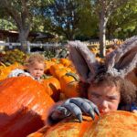 Jude Demorest Instagram - pumpkin patch szn… but let it snow
