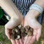 Julie Estelle Instagram - When in Tuscany