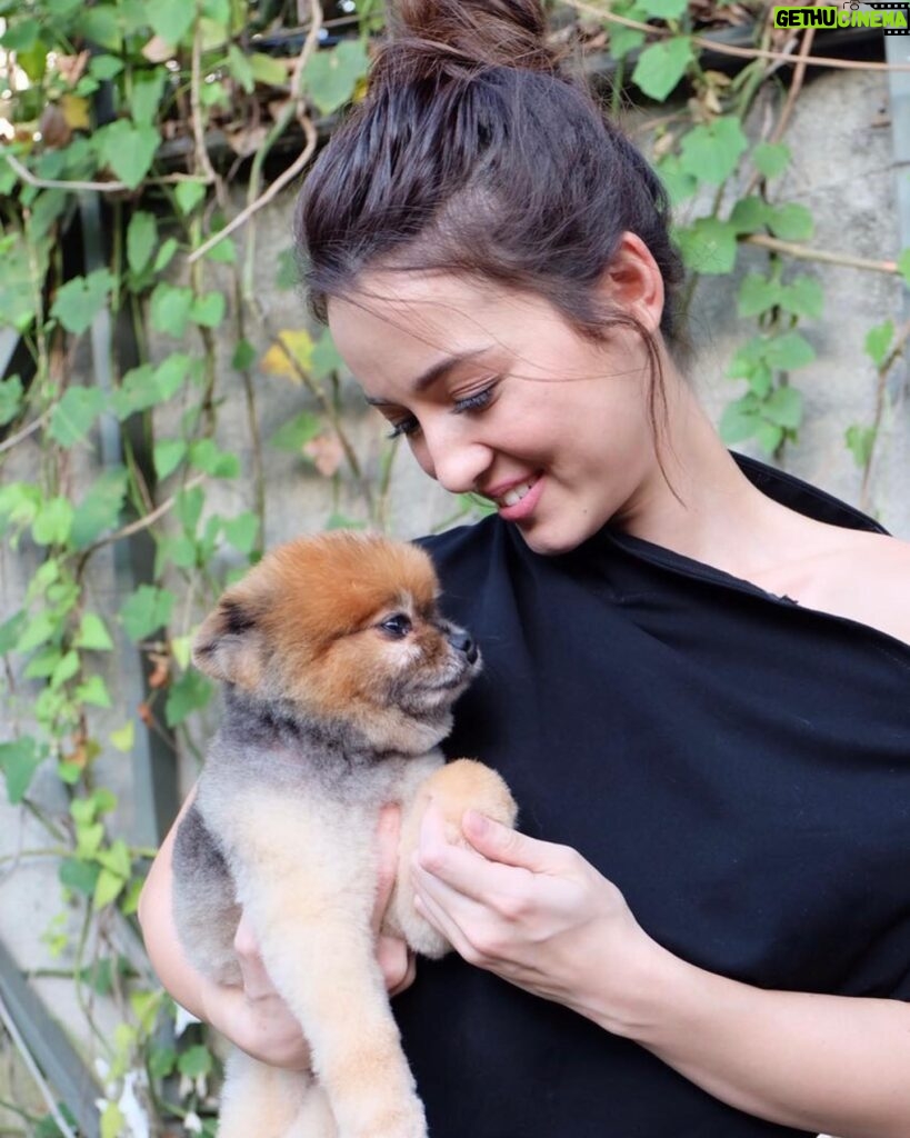 Julie Estelle Instagram - Enjoy doggie heaven Bubs🤍🤍🤍 #RIPBubbly #foreverinourhearts