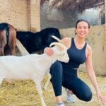 Julie Ricci Instagram - Une journée incroyable dans le désert , pourvoir galoper au milieu de rien et se balader en bord de mer , c’était super. Notre séjour en Égypte commence très bien. Activités @hurghada_tourist_guide_ #egypt #horse #desert