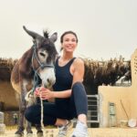 Julie Ricci Instagram - Une journée incroyable dans le désert , pourvoir galoper au milieu de rien et se balader en bord de mer , c’était super. Notre séjour en Égypte commence très bien. Activités @hurghada_tourist_guide_ #egypt #horse #desert