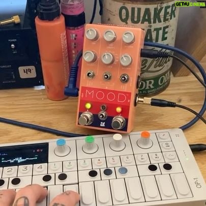 Julien Baker Instagram - *CLOSED*day 11! big day today as we near the end: the Chase Bliss Mood!!! A 2 channel loop-cycler-reverb-variable-speed-tape-head-delay-box-of-endless-experimentation. Thank you to the CB team for making some truly special sound tools, for their kindness and support and for having us as guests/introducing us to Turtle The Tortoise **** Each day's giveaway will be open for entries for 24 hours from time of posting. *day 10 is now closed* DAY 11 (12/23) - Chase Bliss Mood To enter today: follow this account, like this post, and tag a friend in the comments (one friend per comment)! That's it. Enter as many times as you want (each tagged friend counts as one entry). The winner will be chosen by a random number generator. PLEASE READ CAREFULLY: The winner will ONLY be contacted via DM by the official @julienrbaker account on Instagram. We will NOT reach you through any other account. Please be aware of fake accounts. This giveaway is in no way affiliated with Meta nor Instagram.