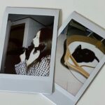 Jung Lea Instagram - 맨날 뽀뽀 거부하는 쿠아..🐱💙 I think she doesn’t like kisses 🥲