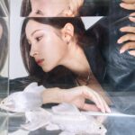 Jung Lea Instagram - 너무나 새롭고 신기했던 촬영 🐠