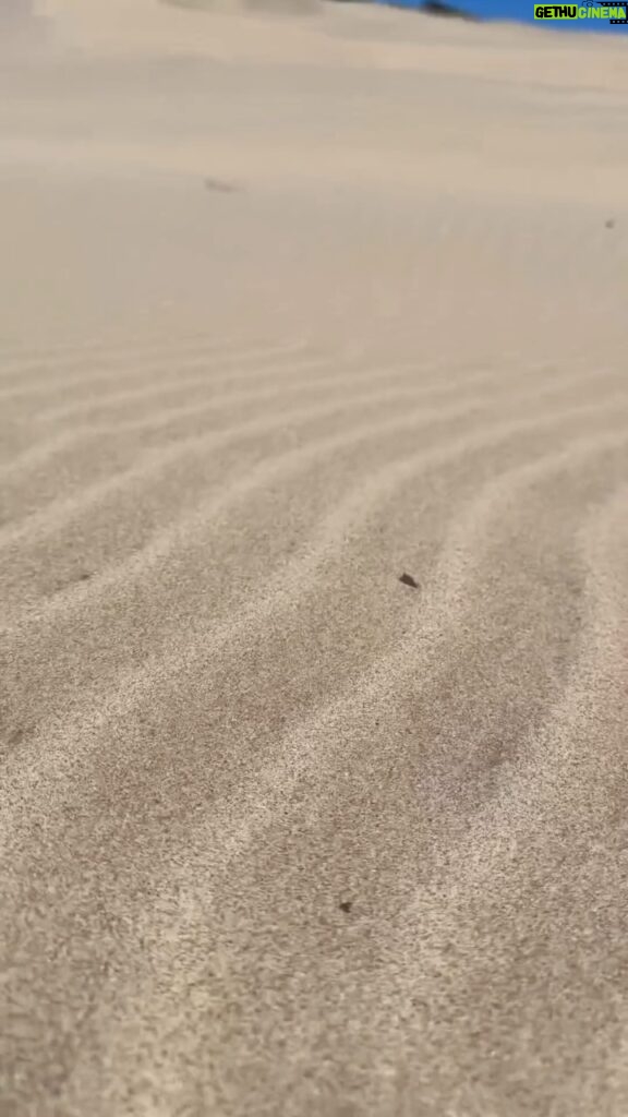 Justine Ezarik Instagram - How to catch a (@noribythesea) sandworm! 😜😂😊