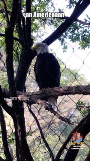 Kaitlin Olson Instagram - 