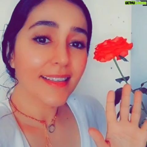 Kalila Bounaylat Instagram - Un simple regard posé sur Une fleur et voilà une journée remplie de bonheur🌹🌹🌹🌹🌹 القيمة ديال الشىء ماشي فالتمن ديالو