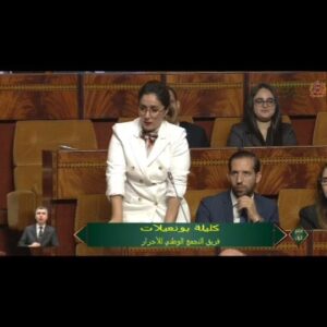 Kalila Bounaylat Instagram - مداخلتي اليوم  بالجلسة العمومية للأسئلة الشفوية  بمجلس النواب حول تجهيز سيارات الإسعاف والاستجابة لنداءات المرضى وعموم المواطنين