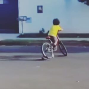 Kamand Amirsoleimani Instagram - از زمین خوردن نترس. هر گاه زمین خوردی منتظر نمان کسی بیاید و دستت را بگیرد. دستهایت را بر زانوهایت بگذار بلند شو و شادمانی کن و خودت را برای شروع دوباره آماده کن.