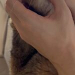 Kang Daniel Instagram - 아로마 테라피🩷