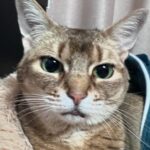 Kang Daniel Instagram - 😽