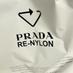 Kang Mi-na Instagram – Prada’s Re-Nylon is regenerated nylon created through the recycling and purification of plastic collected from the ocean. #PradaReNylon #Prada #ad 🤍🖤🐬
