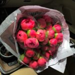 Kang Min-kyung Instagram - 어제 부산에서 무대 마치고 서울에 도착하니 새벽 한 시 더라고요. 올라오는 열차 안에서 왜 그리도 작약이 보고 싶은지 피곤할 새도 없이 집에 도착하자마자 시동을 걸고 꽃 시장에 다녀왔어요. 얼굴이 제일 큰 작약으로 원 없이 사 와야지 작심하며 한 시간 남짓한 시간 동안, 장날이라 복작복작한 꽃 시장을 휘적이는데 아니 글쎄 너어무 좋았던 거 있죠.. 헤헷… 행복하다아.. 🍑💭