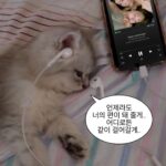 Kang Min-kyung Instagram - 3월 이모저모고모사돈의팔촌🫧