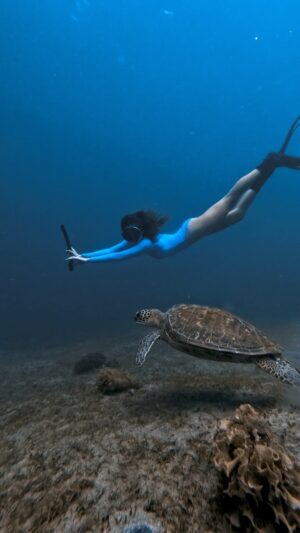 Kaori Oinuma Instagram - underwater moments that nothing can compare to 𓆉𓆝𓇼

⛺️: @lakbayfreediving 
🎨 🎥 : @dk.albon 
🩱: @blackboughswim