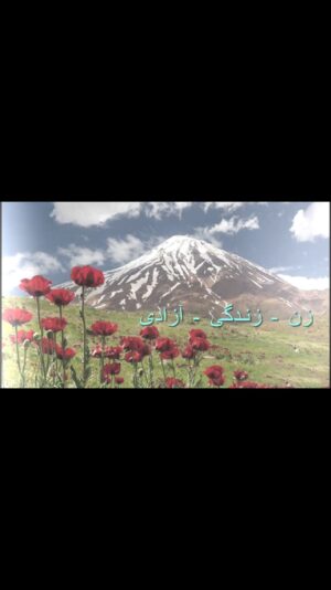 Katayoun Riahi Instagram - ‎…
اهریمن ضحاک و مارهای خونخوارش را 
‎سیمرغ سرنگون خواهد کرد
‎سیمرغ
‎ایران بانوان
‎شیرمردان
‎فرزندانِ شکوهِ ایران
‎با شما هستم همین‌جا تا آزادی ایران زمین
♥️🤍💚
‎همه جای ایران سرای من است.

‎۴۳ سال 
‎#وطن
‎#ایران
‎#آزادی

‎موزیک: پژواک سکوت
‎آهنگساز:  @pooria_one