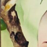 Katayoun Riahi Instagram -