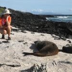 Kate Bosworth Instagram - We are honoring #worldoceansday 🐳🐢🌎 by supporting The Charles Darwin Foundation. Since 1959 the Charles Darwin Foundation has been a guardian of the Galapagos’ uniqueness and protected species. We recently experienced this magnificent wildlife up close (there are only 4,000 Galapagos penguins in existence!) and we feel more inspired than ever to help protect our oceans and the species that depend on them for their survival. (Swipe to see marine iguanas, blue and red footed boobys, the Galapagos penguin, and a video of baby sea lions just learning to swim play 🥹🩵) If you would like to help, please visit darwinfoundation.org to learn more 🙏🏻🌊