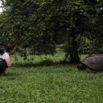 Kate Bosworth Instagram - Ever since we met, I have heard you say two words, many, many times: Galápagos Islands. I know from your mother that, as a little boy, you used to study images in books from a land far, far away… and you would dream of visiting that place one day: one of tortoises and iguanas and sea lions and penguins. Colors of sea life that make up underwater rainbows, and countless star fish lining the ocean floor, a marine constellation. Watching you experience your childhood dream these last few weeks has been the greatest honor Hansee 💛🐢🇪🇨 Our world is better and brighter for your endless curiosity, your willingness and drive to seek and explore, your profound empathy for our planet’s creatures, your shining exuberance for life, and your deep, deep ability to love. Every morning I am filled with excitement to open my eyes because I know they will greet my favorite smile and every evening, I fight sleep because I never want to leave you and the joy we experience in the day, even to the dream world :) ✨ To know you is to love you Justin Jakob. You are my Christopher Robin forever. You make life better. You make me better. HAPPY BIRTHDAY @justinlong 🎂🌻🎈!!! *and don’t worry, you may have ticked off a top bucket list experience, but please trust, we’re just getting started on this big, beautiful adventure. I love you 🌍 xo