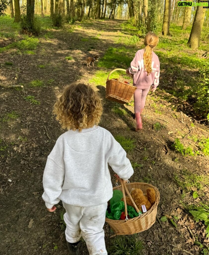 Kate Wright Instagram - A fabulous Easter weekend spent @wildernessreserve 🧸 bear hunts 🧊 wild lake swim 🥶 🚲 bike rides 🤗 family time There’s something about being in the country I just love 🌳🦋💫🐞🌿