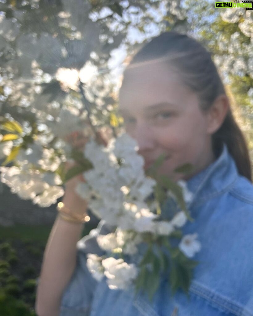Kateryna Osadcha Instagram - Random photo Random blooming ….