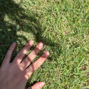 Katherine Langford Instagram - earth month edition 🍃