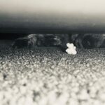 Katherine Moennig Instagram - Operation rescue popcorn