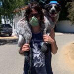 Katherine Moennig Instagram - My best friend hates her new boots.