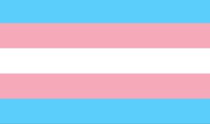 Katherine Moennig Instagram - Not just today but everyday, Trans rights are human rights. #transdayofvisibility