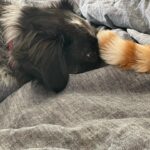 Katherine Moennig Instagram - Contact