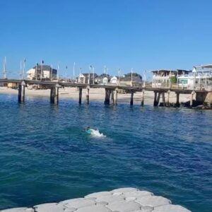 Katherine Salosny Instagram - Viviendo la previa de los panamericanos y parapanamericanos #santiago2023 

Acá en Algarrobo seremos sede de distintas categorías en deportes náuticos un escenario maravilloso con las banderas de toda América en el mar!!! Y yo celebro en el feliz!!!

Toda información en www.mirasolfm.cl nuestra señal on line 
98.7 el dial en el Litoral de los Poetas