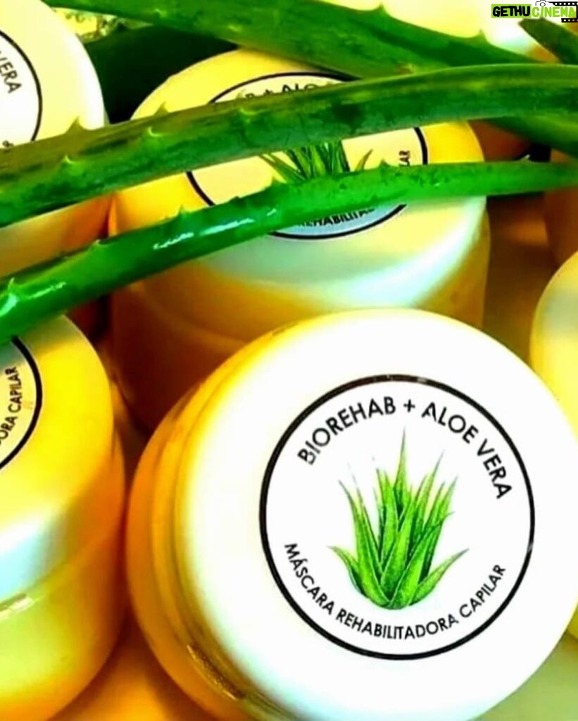 Katherine Salosny Instagram - Recibí una tremenda visita en mi querido Algarrobo con un día bellísimo para recibir mis productos favoritos en un encuentro casual y muy relax frente al mar mi tan esperado tratamiento , Shampoo y Mascara rehabilitadora capilar Aloe Vera Biorehab , que gracias a su formulacion 100 % natural y saludable restauran los cabellos más dañados, aportando maxima hidratacion , brillo , vigor , control caída y estimulando crecimiento en las primeras aplicaciones 🌱 Pide el tuyo te va a encantar!! Despacho a domicilio Al contacto @olivaripatricia