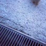 Katia Peel Instagram - 😍 #cuteanimals #adorablepets #adorablebunnies #adorable #cutepets #dog #puppy #puppies #funnypets #cutebunny #happy #funfunfun #loveanimals #awesome #cutest