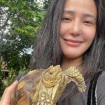 Katrina Halili Instagram - Hello @kuyakim_atienza 👋🐢