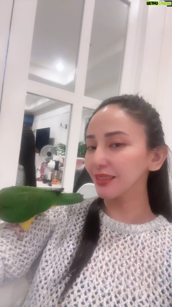 Katrina Halili Instagram - #aviphile🐦🐧🕊️