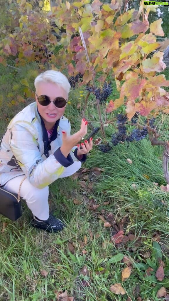 Katya Lel Instagram - Жизнь удивительна и прекрасна, по дороге в аэропорт наши друзья завезли нас в гости, посмотрите какие виноградники чудесные💙. Самых добрых и искренних эмоций всем нам, любимые 🤩. #катялель #счастьежить